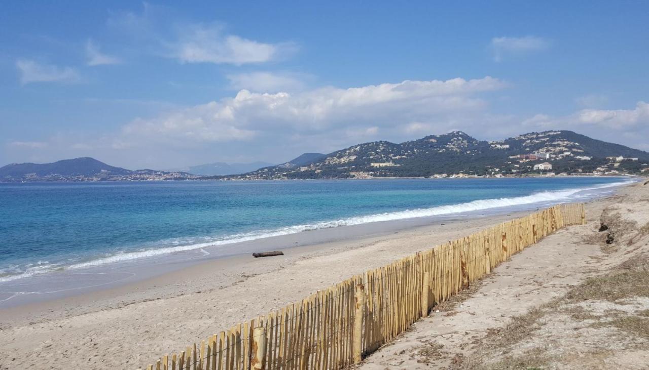 Studio Proche Port Et Plages, Piscine Hyères Eksteriør billede