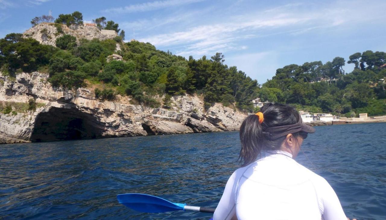 Studio Proche Port Et Plages, Piscine Hyères Eksteriør billede
