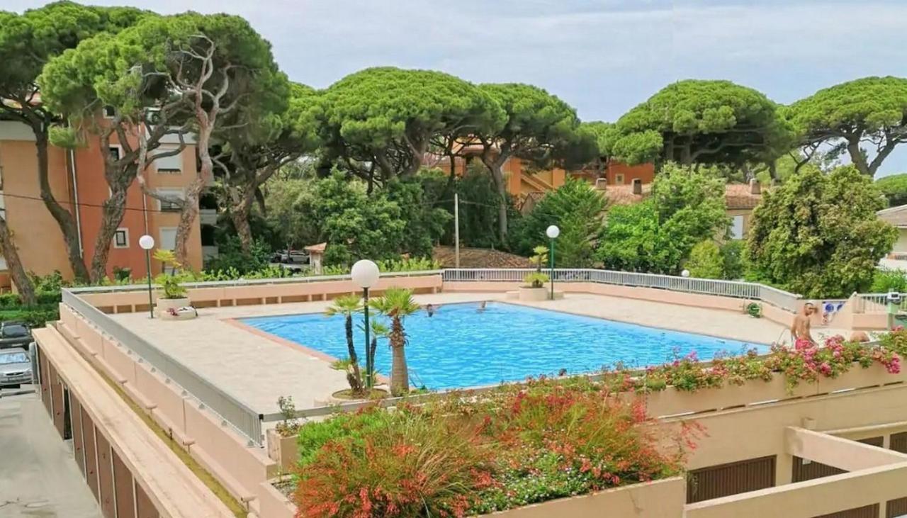 Studio Proche Port Et Plages, Piscine Hyères Eksteriør billede